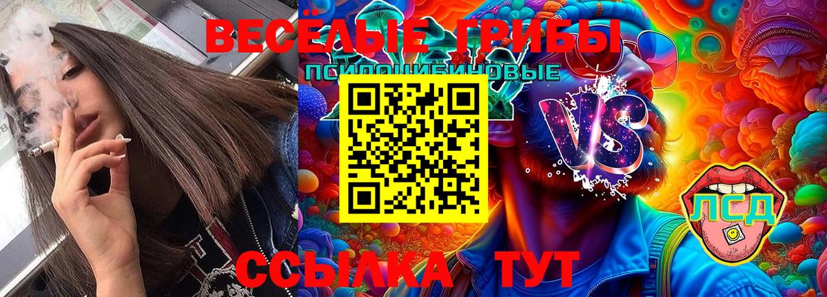 Галлюциногенные грибы GOLDEN TEACHER Удомля