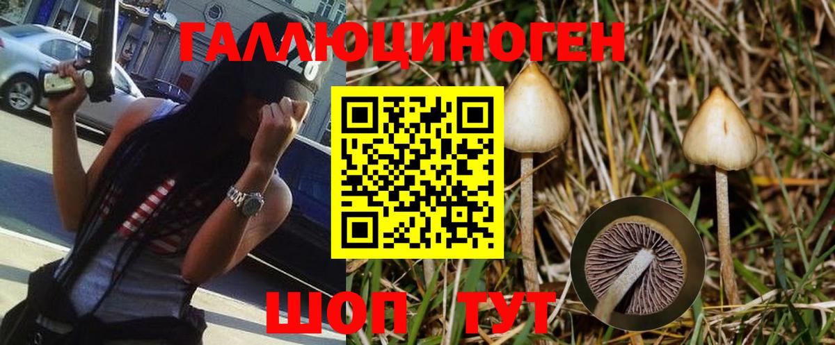 Амфетамин Удомля
